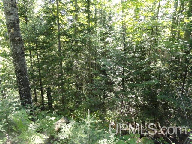 Tbd Tbd Vicks Road Lanse, MI 49946 - Photo 18 of 18