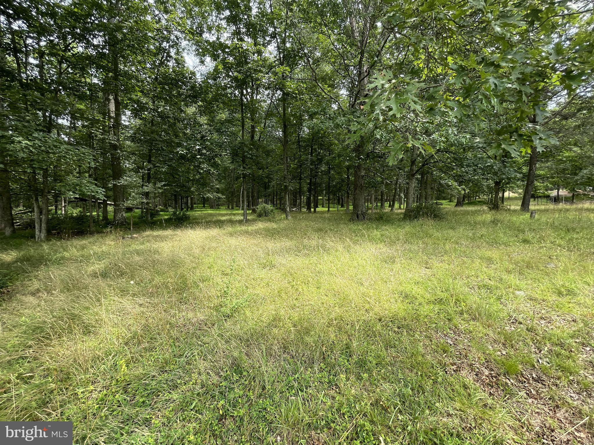 11000 Hinkle Road Southeast Flintstone, MD 21530 - Photo 38 of 40 Gallery Image 38