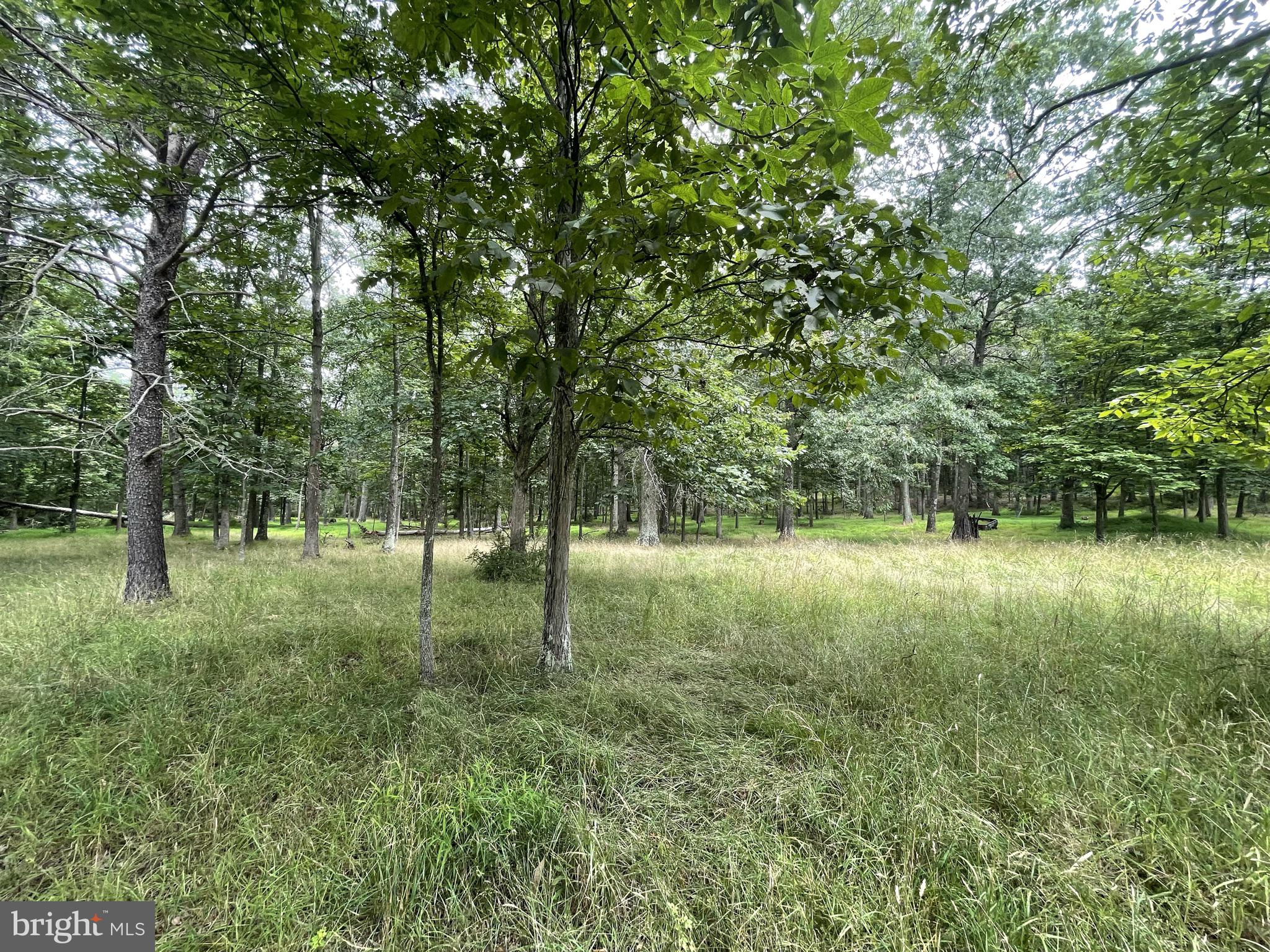 11000 Hinkle Road Southeast Flintstone, MD 21530 - Photo 39 of 40 Gallery Image 39