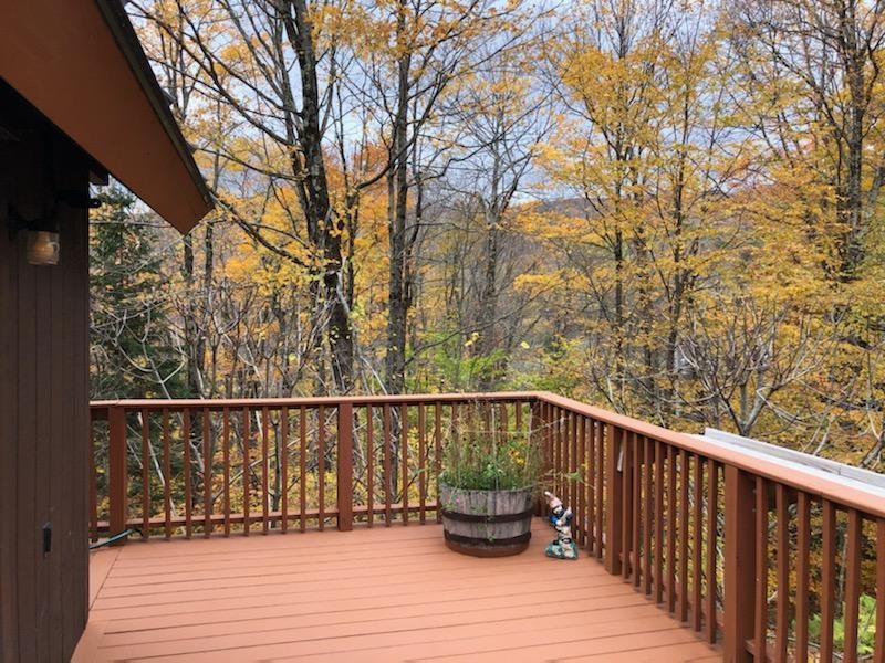 103 Heartwellville View Road, Unit 80 Readsboro, VT 05350 - Photo 7 of 22