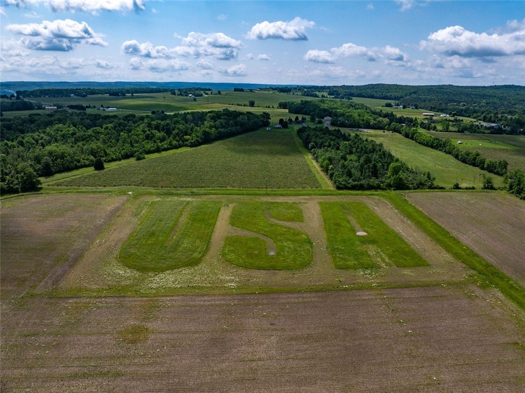 0 Esperanza Road Keuka Park, NY 14478 - Photo 17 of 17