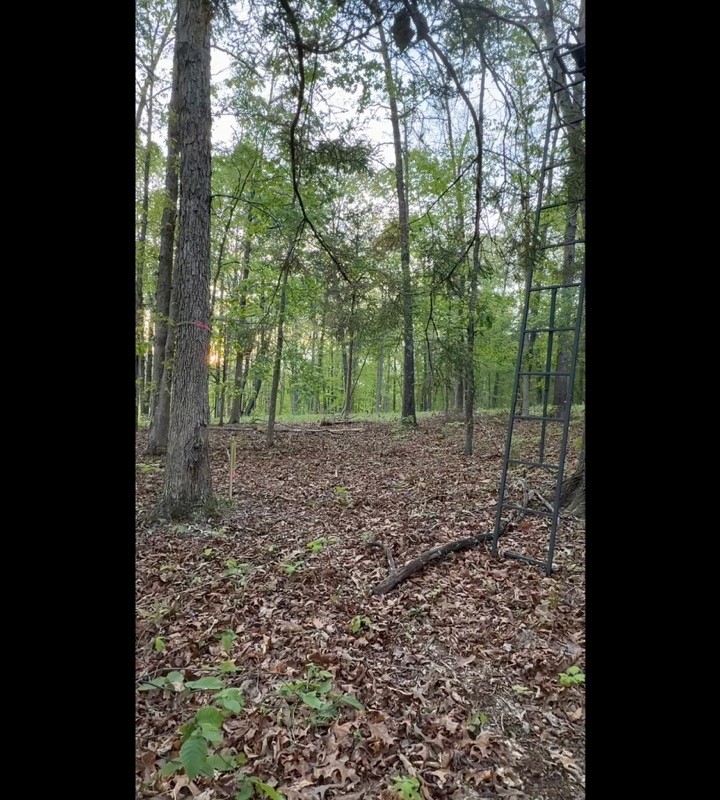 4587 Chapel Hill Road Southside, TN 37171 - Photo 3 of 3
