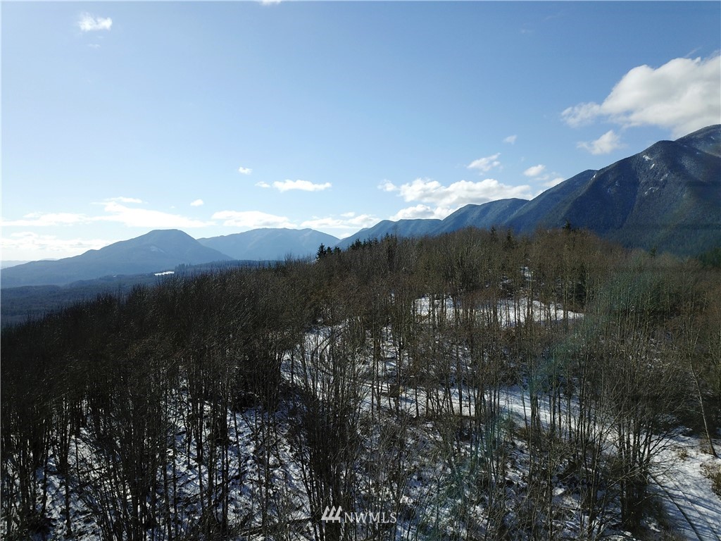 888-xxx Elkhorn Ridge Road Quilcene, WA 98376 - Photo 1 of 20