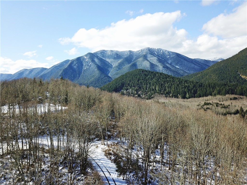 888-xxx Elkhorn Ridge Road Quilcene, WA 98376 - Photo 2 of 20