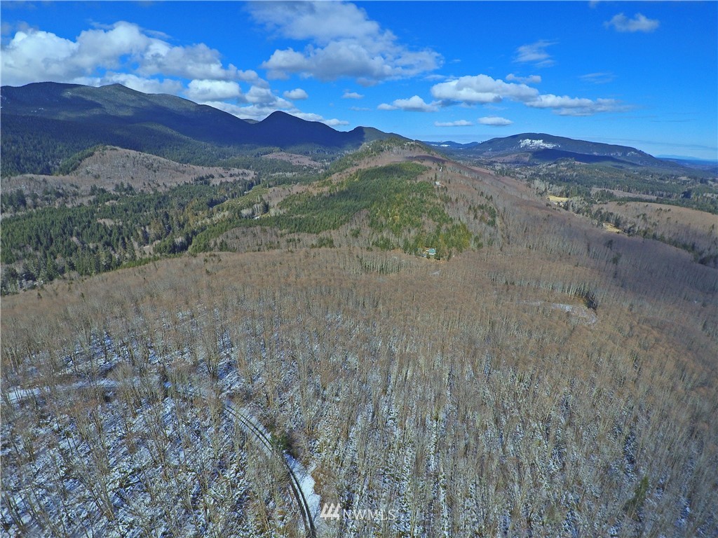 888-xxx Elkhorn Ridge Road Quilcene, WA 98376 - Photo 11 of 20