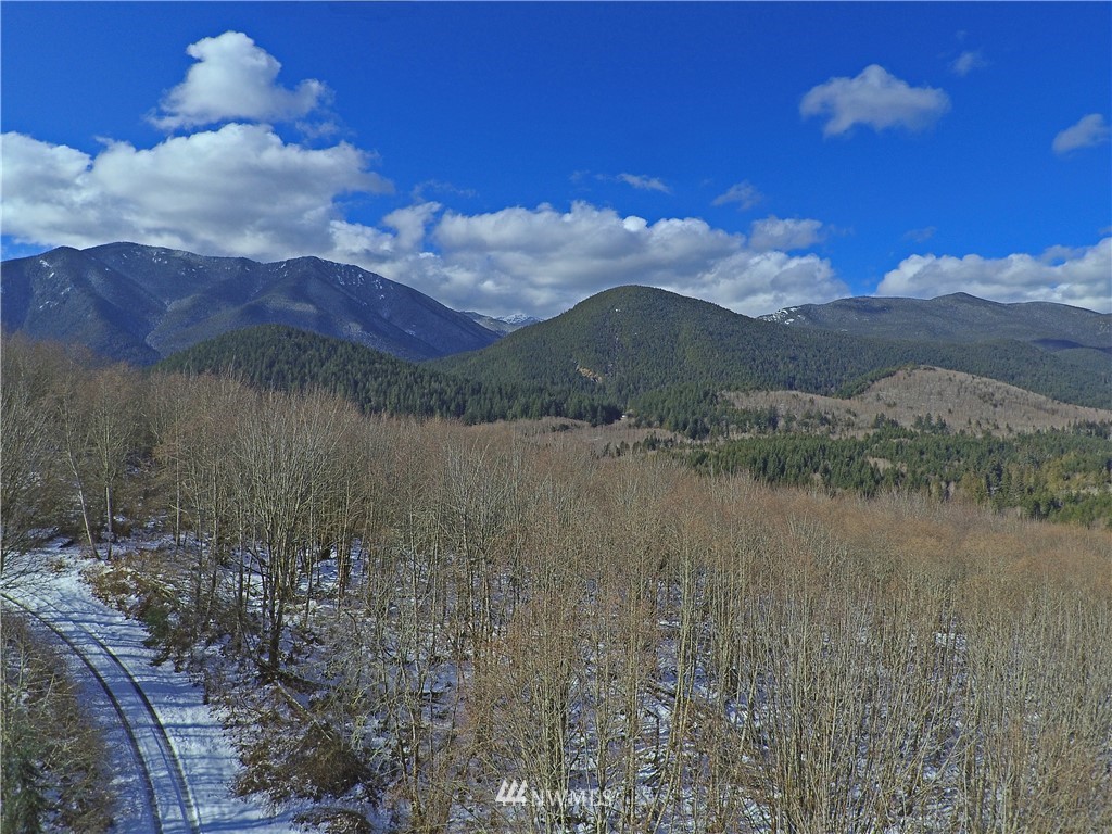 888-xxx Elkhorn Ridge Road Quilcene, WA 98376 - Photo 13 of 20