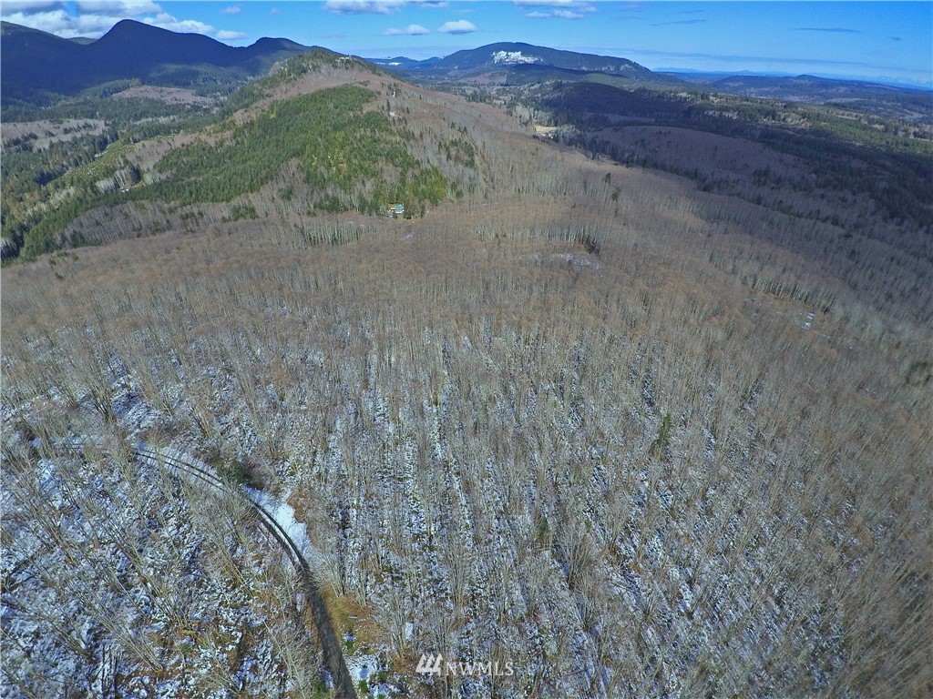 888-xxx Elkhorn Ridge Road Quilcene, WA 98376 - Photo 20 of 20