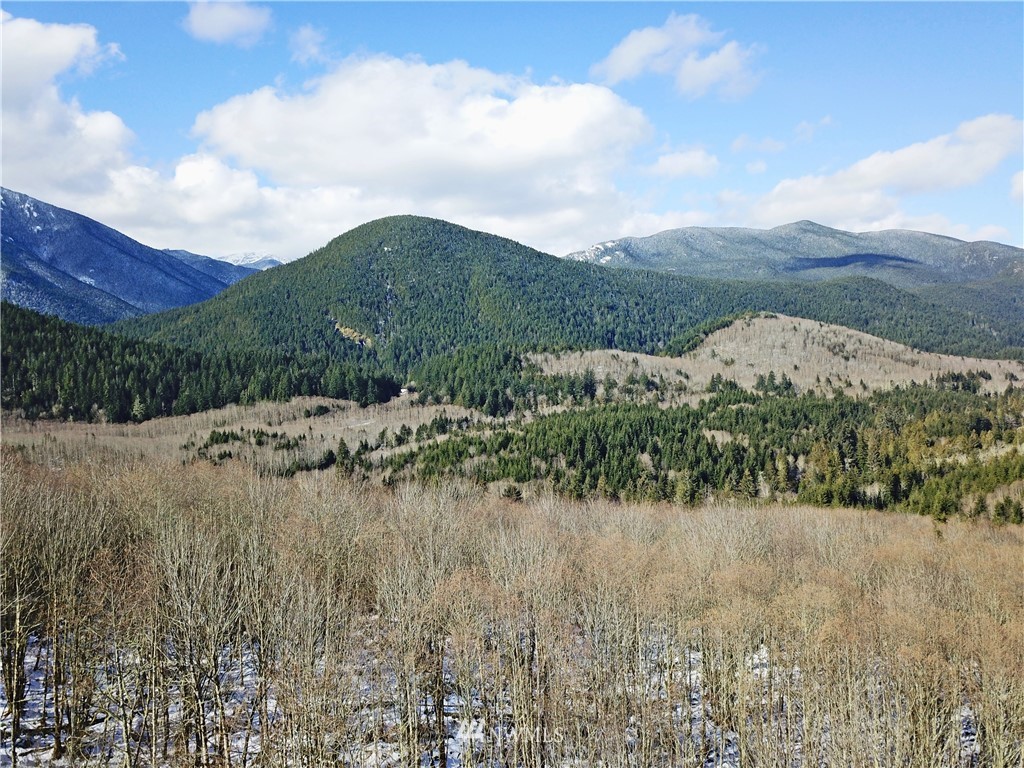 888-xxx Elkhorn Ridge Road Quilcene, WA 98376 - Photo 3 of 20