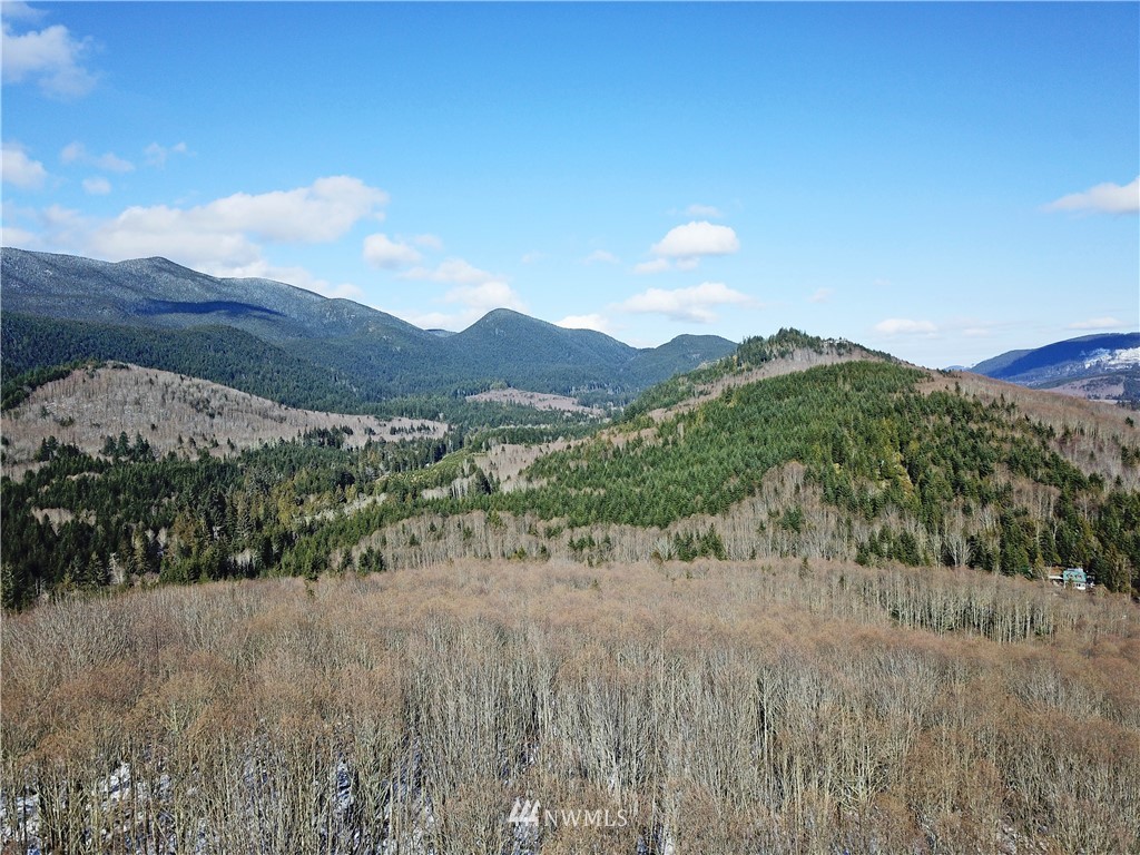 888-xxx Elkhorn Ridge Road Quilcene, WA 98376 - Photo 4 of 20