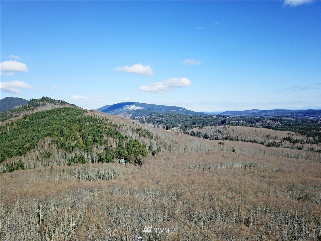 888-xxx Elkhorn Ridge Road Quilcene, WA 98376 - Photo 5 of 20