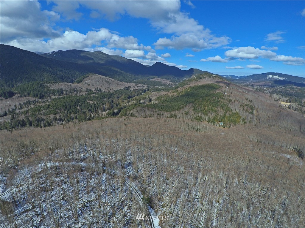 888-xxx Elkhorn Ridge Road Quilcene, WA 98376 - Photo 10 of 20