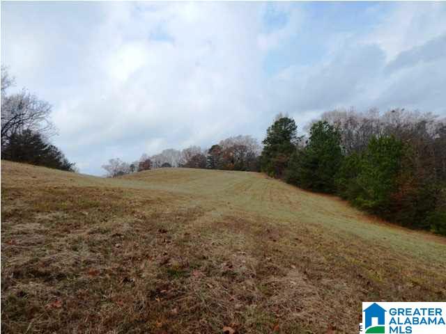 401 Beasley Road Gardendale, AL 35071 - Photo 10 of 15