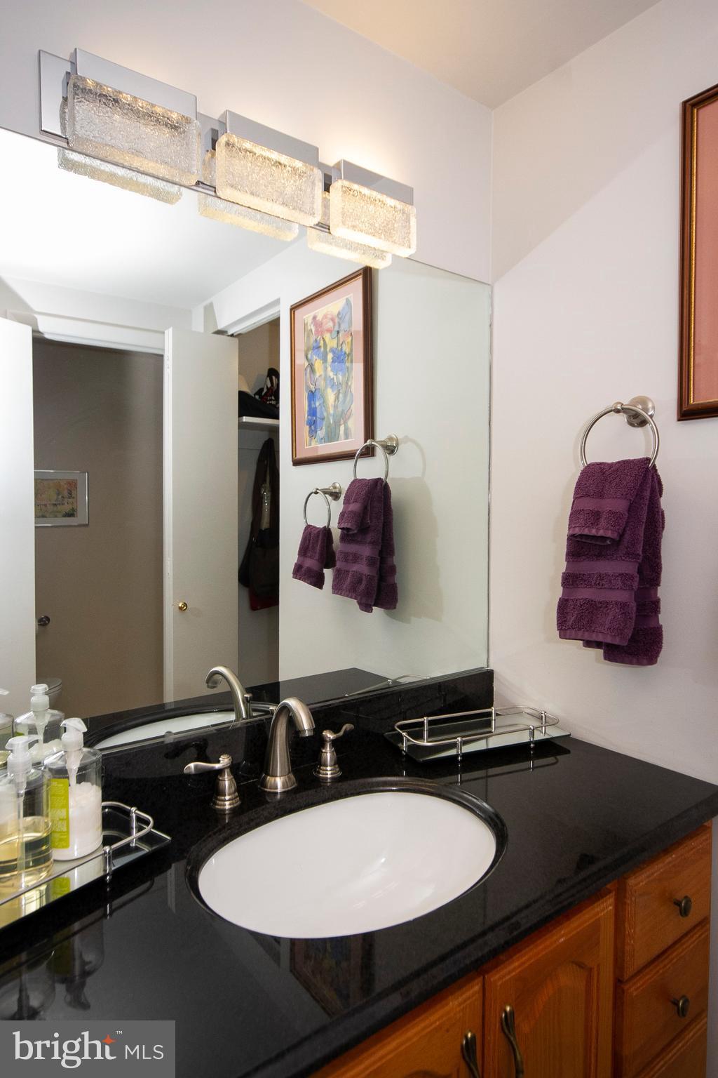 14 Cross Keys Road, Unit 14D Baltimore, MD 21210 - Photo 22 of 25 a bathroom with a sink and a mirror