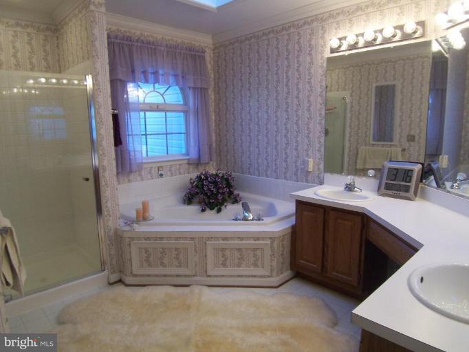 1381 Ridge Commons Boulevard Hanover, MD 21076 - Photo 9 of 13 Master Bath