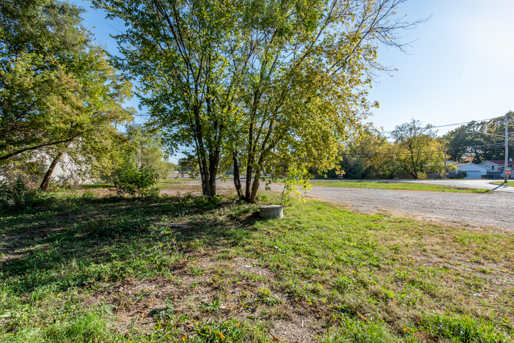 10038 West Beach Road Beach Park, IL 60099 - Photo 5 of 5 a view of backyard with large trees