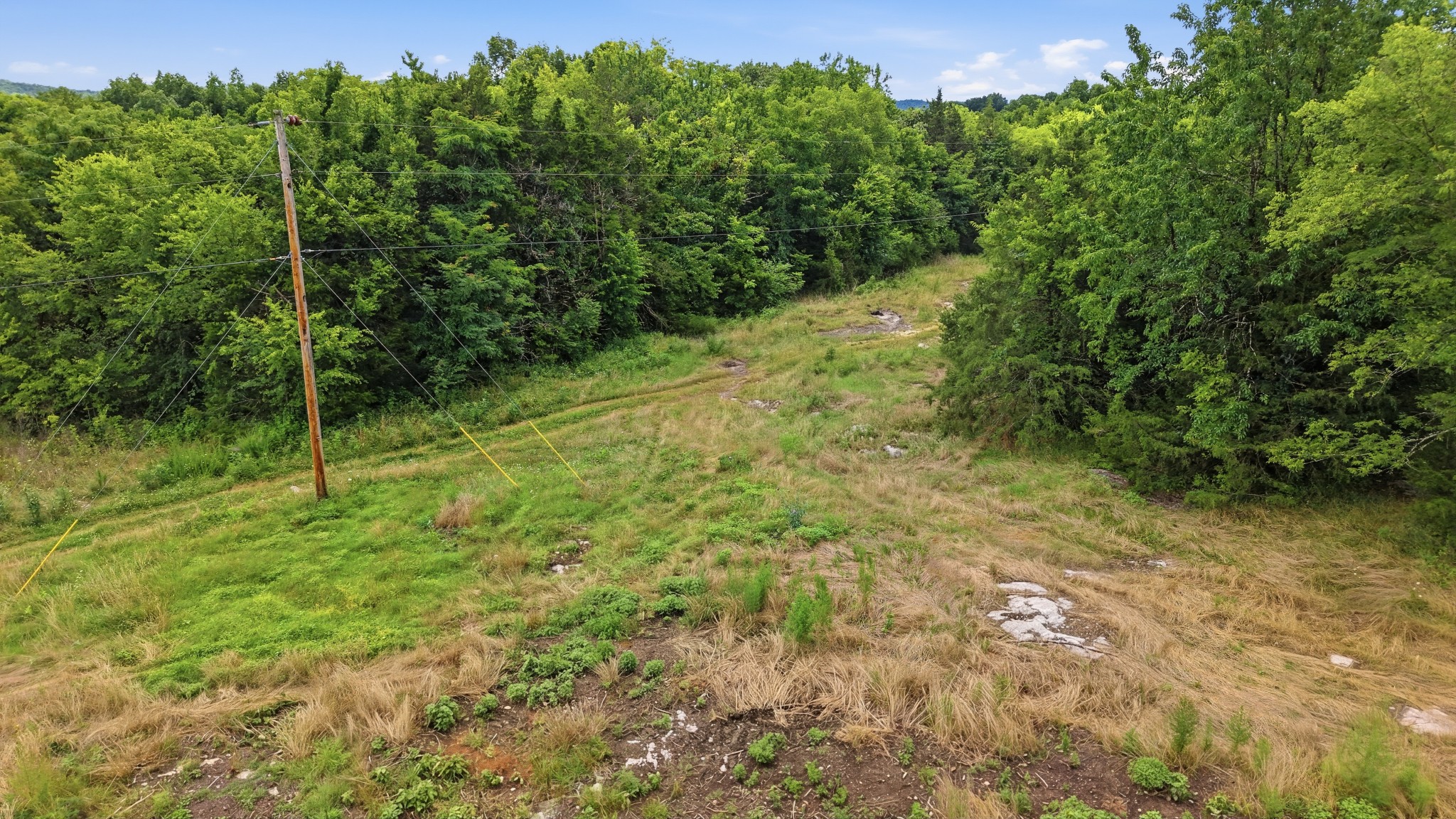 0 Pete Alsup Road Lascassas, TN 37085 - Photo 19 of 32