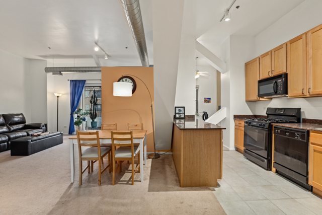 1000 East 53rd Street, Unit 218S Chicago, IL 60615 - Photo 11 of 29