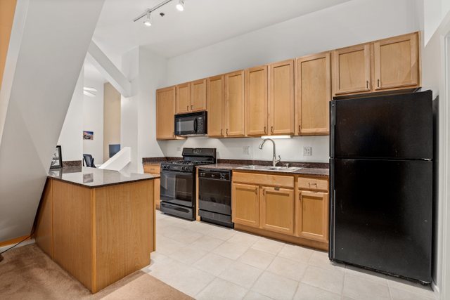 1000 East 53rd Street, Unit 218S Chicago, IL 60615 - Photo 12 of 29