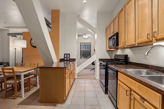 1000 East 53rd Street, Unit 218S Chicago, IL 60615 - Photo 13 of 29