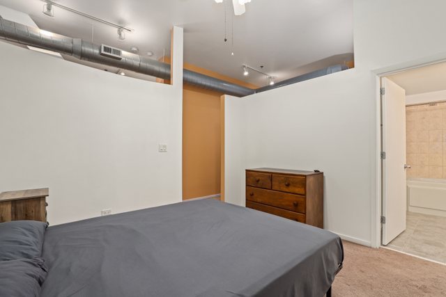 1000 East 53rd Street, Unit 218S Chicago, IL 60615 - Photo 18 of 29