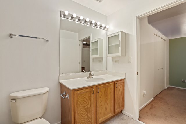 1000 East 53rd Street, Unit 218S Chicago, IL 60615 - Photo 21 of 29