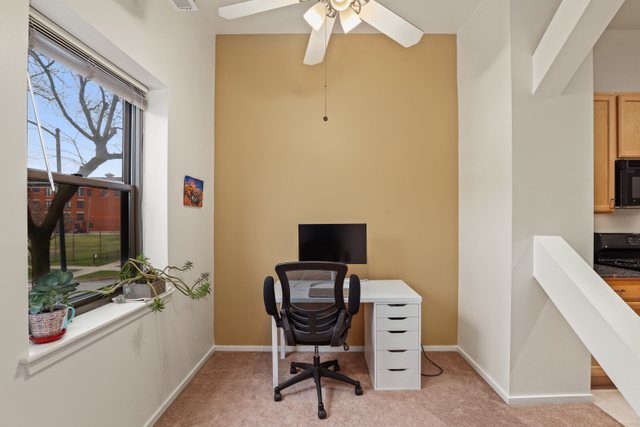 1000 East 53rd Street, Unit 218S Chicago, IL 60615 - Photo 22 of 29