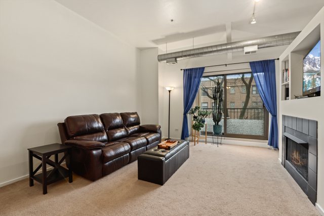 1000 East 53rd Street, Unit 218S Chicago, IL 60615 - Photo 4 of 29