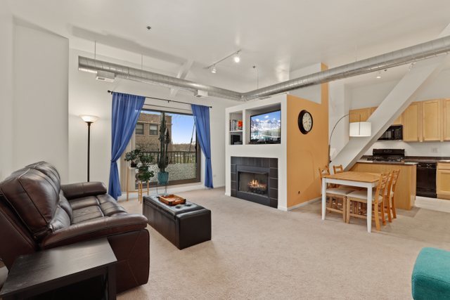 1000 East 53rd Street, Unit 218S Chicago, IL 60615 - Photo 5 of 29