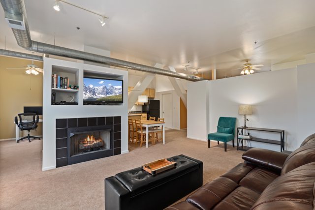 1000 East 53rd Street, Unit 218S Chicago, IL 60615 - Photo 6 of 29