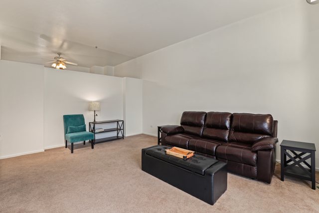 1000 East 53rd Street, Unit 218S Chicago, IL 60615 - Photo 7 of 29