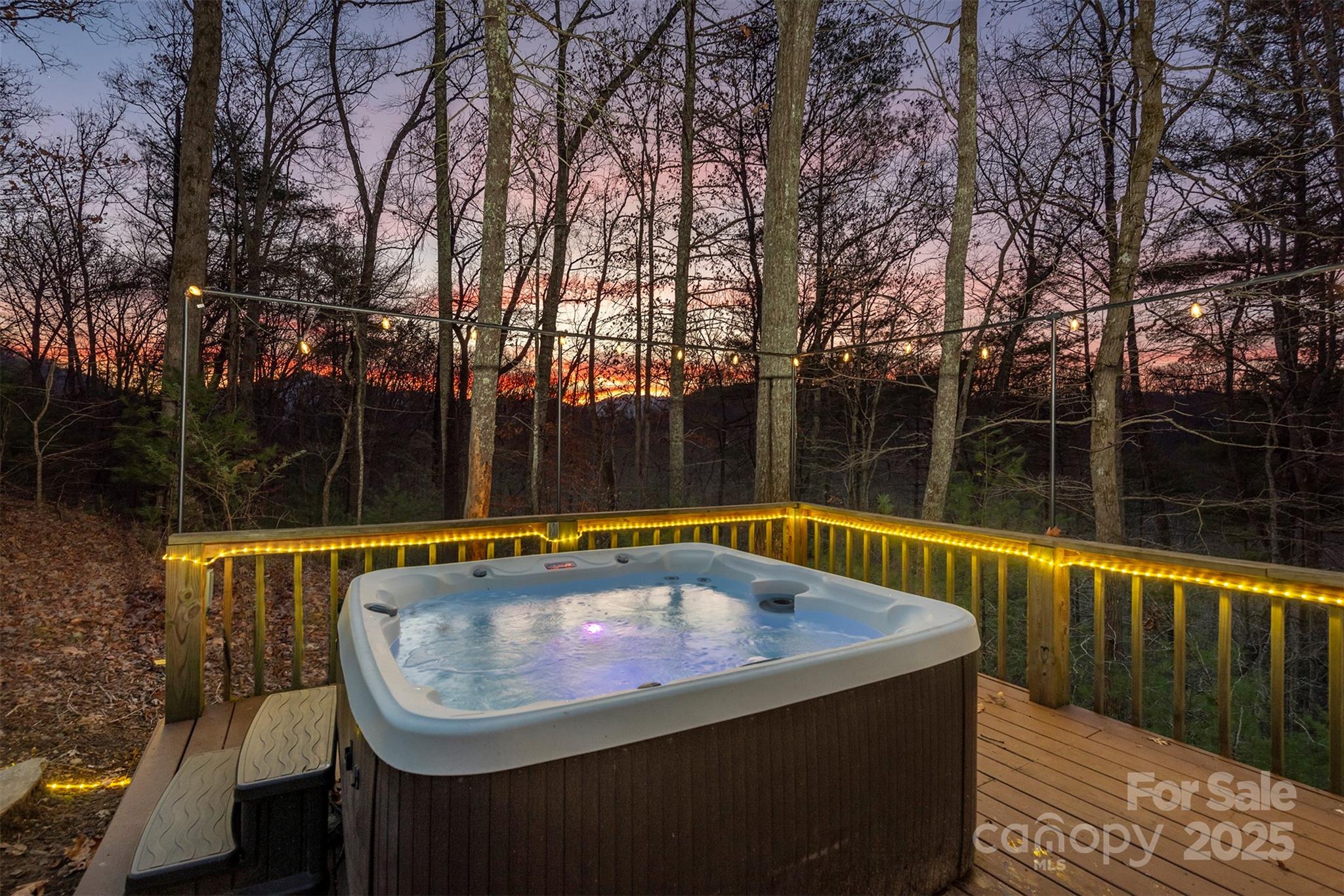395 Dry Pond Road Marshall, NC 28753 - Photo 14 of 47 a view of swimming pool with a back yard