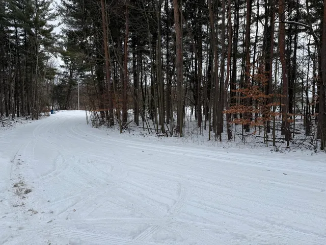 $399,900 | 3500 Northkent Pine Drive, Kent City, MI 49330