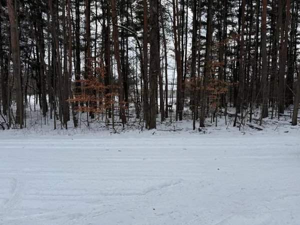 $390,000 | 3500 Northkent Pine Drive, Kent City, MI 49330