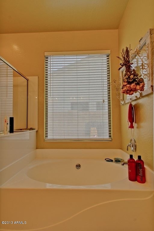4203 East Del Rio Street Gilbert, AZ 85295 - Photo 24 of 41 master tub