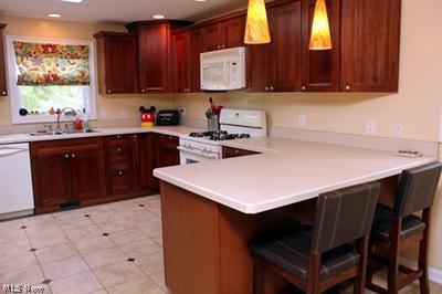 1189 Mayfield Ridge Road Cleveland, OH 44124 - Photo 6 of 25