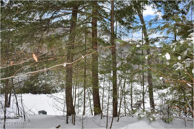 $75,000 | 20 Brant Lake Heights Drive, Horicon, NY 12815