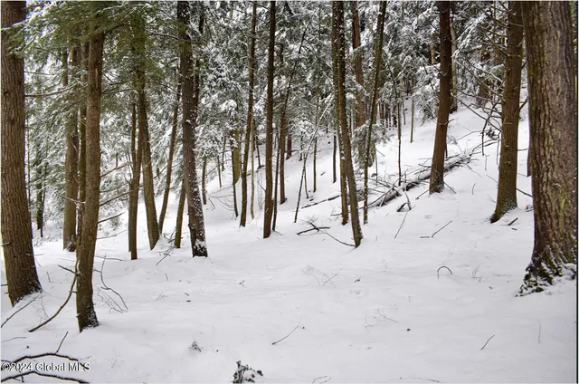 $75,000 | 20 Brant Lake Heights Drive, Horicon, NY 12815