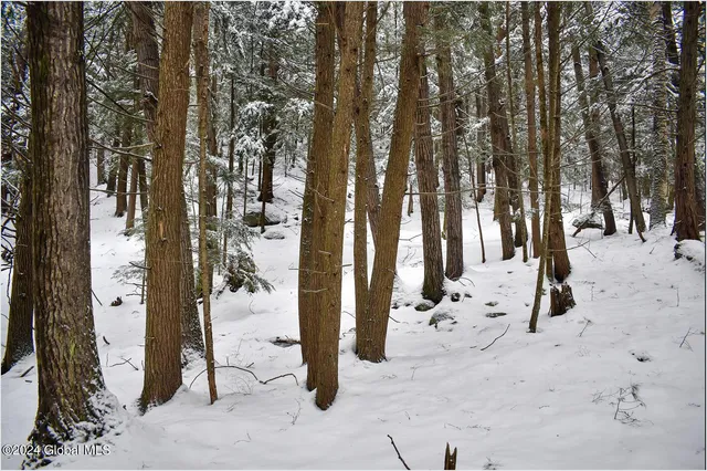 $75,000 | 20 Brant Lake Heights Drive, Horicon, NY 12815