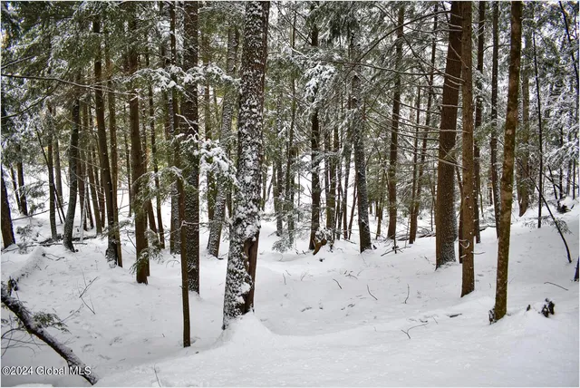 $75,000 | 20 Brant Lake Heights Drive, Horicon, NY 12815