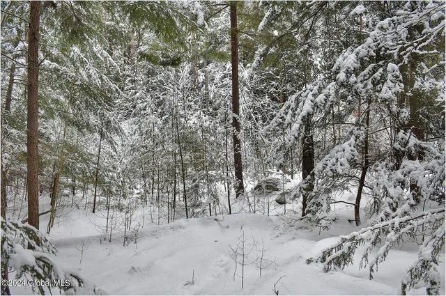 $75,000 | 20 Brant Lake Heights Drive, Horicon, NY 12815