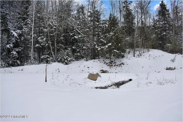 $75,000 | 20 Brant Lake Heights Drive, Horicon, NY 12815
