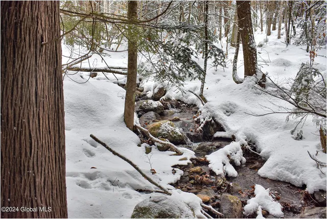 $75,000 | 20 Brant Lake Heights Drive, Horicon, NY 12815