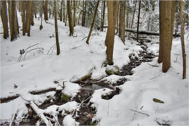 $75,000 | 20 Brant Lake Heights Drive, Horicon, NY 12815