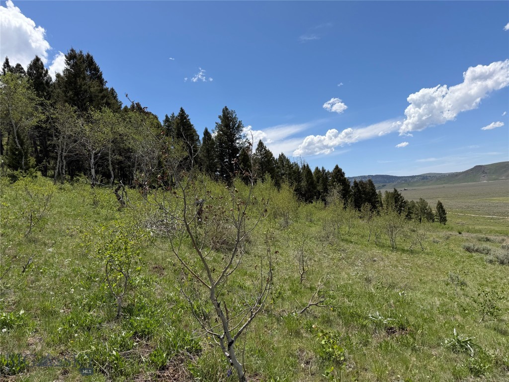 2-4a Continental Divide Road Cameron, MT 59720 - Photo 13 of 37 Gallery Image 13
