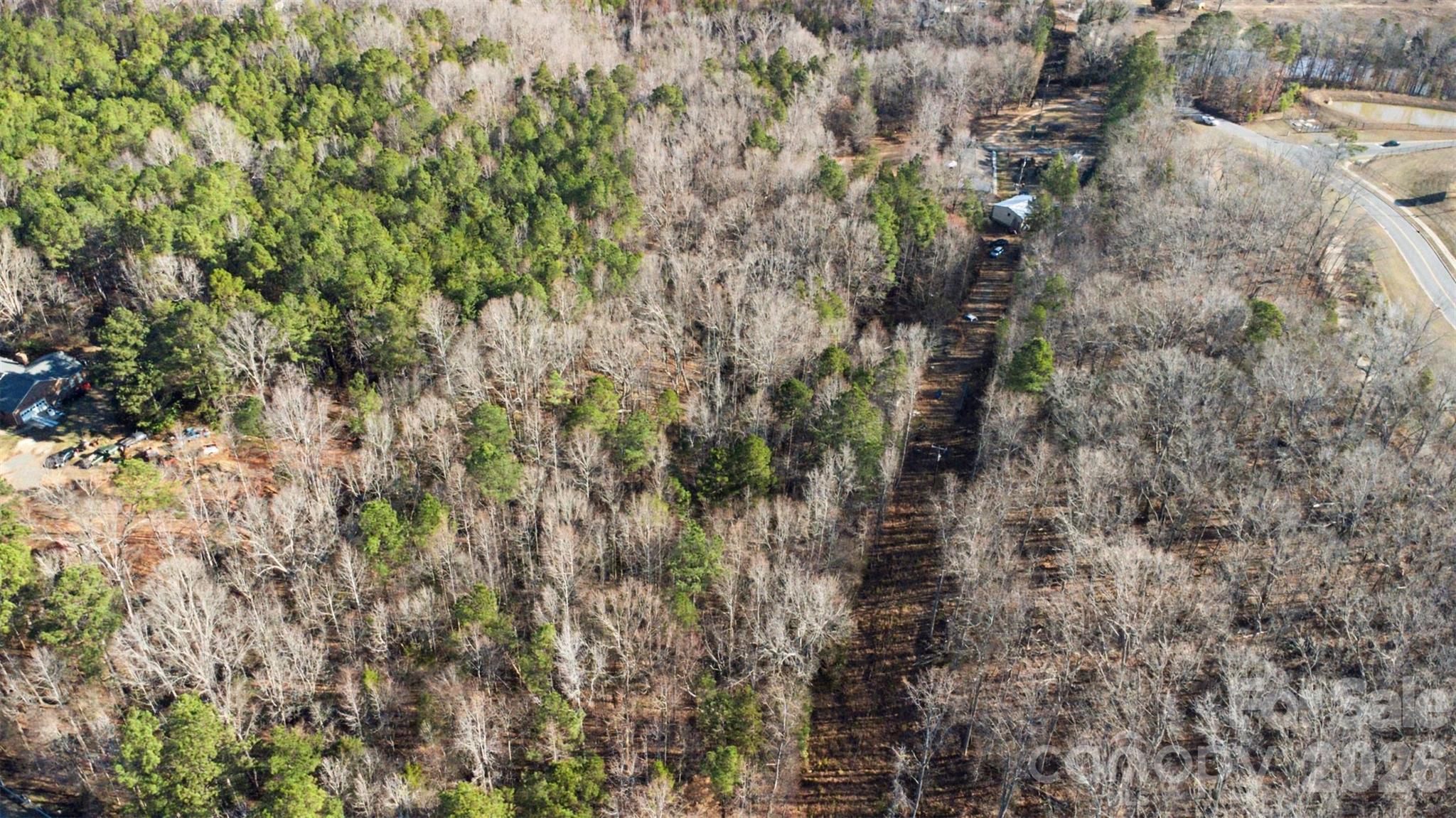 6231 Witherspoon Drive Lancaster, SC 29720 - Photo 6 of 10 a view of a forest