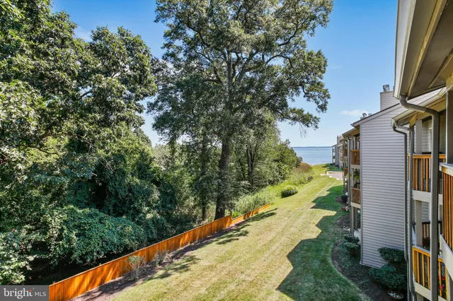 a view of a yard with potted plants