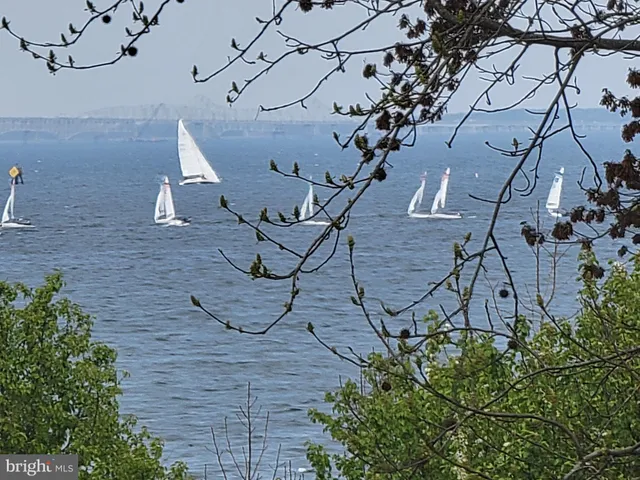 a view of a terrace with chairs