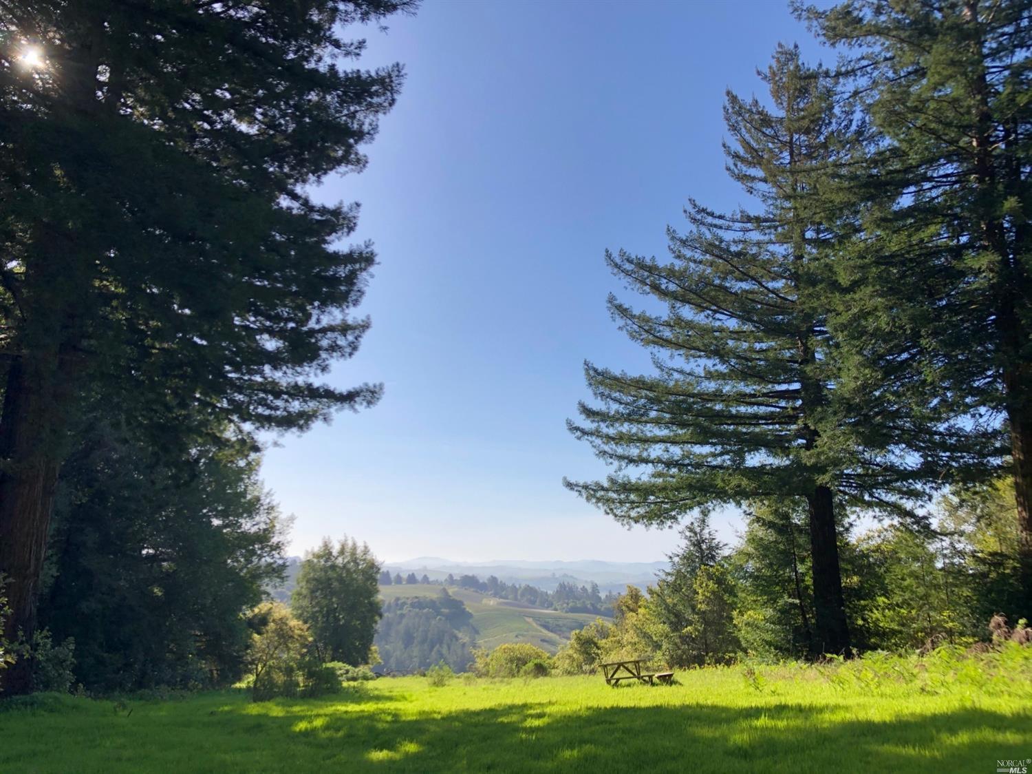 1878 Marika Drive Occidental, CA 95465 - Photo 1 of 1 a view of a field with of trees