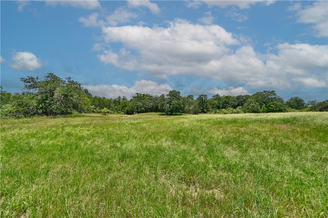 159 Starlight Path Red Rock, TX 78662 - Photo 4 of 16