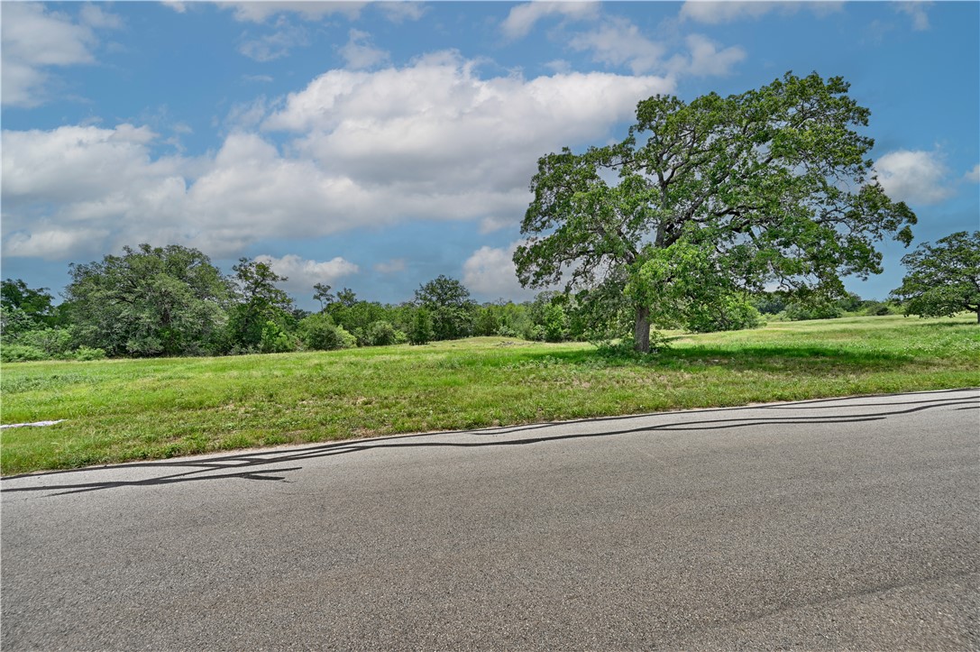 159 Starlight Path Red Rock, TX 78662 - Photo 8 of 16
